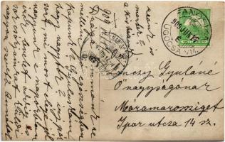 1909 Fancsika, Fancsikovo, Fanchykovo, Fanciková (Ugocsa); villa. photo (EK)