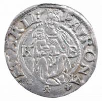 1540K-B Denár Ag "I. Ferdinánd" (0,45g) T:2 patina
Hungary 1540K-B Denar Ag "Ferdina...