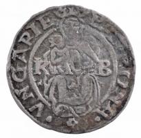 1551K-B Denár Ag "I. Ferdinánd" (0,45g) T:2- patina
Hungary 1551K-B Denar Ag "Ferdin...