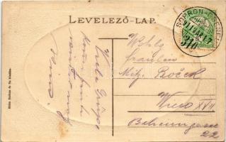 1911 Sopron, M. kir. Honvéd főreáliskola + "SOPRON-EBENFURT 310" vasúti mozgóposta (fl)