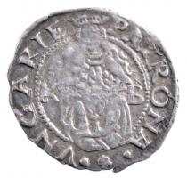 1554K-B Denár Ag "I. Ferdinánd" (0,42g) T:2- patina
Hungary 1554K-B Denar Ag "Ferdin...