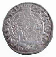 1557K-B Denár Ag "I. Ferdinánd" (0,36g) T:2- patina
Hungary 1557K-B Denar Ag "Ferdin...