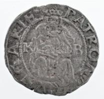 1561K-B Denár Ag "I. Ferdinánd" (0,60g) T:2- patina
Hungary 1561K-B Denar Ag "Ferdin...