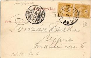 1900 Mohács, Dunapart + "BROD-NAGY-KANIZSA 26.SZ." vasúti mozgóposta