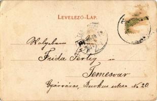 1903 Budapest XII. Jánoshegy, Erzsébet királyné (Sisi) emléktábla. Schwarcz J. kiadása (ázott / wet ...