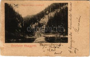 1901 Óhegy, Staré Hory (Besztercebánya, Banská Bystrica); Sturecz alatti vendéglő. Kiadja Lechnitzky O. fénynyomdája / restaurant, inn