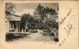 1902 Bia, Biatorbágy (Pest); Iharos villasor. Divald Károly (EB)