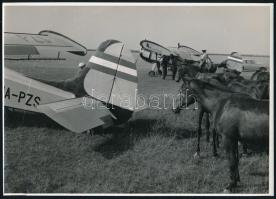 Lovak és repülőgépek, fotó, 17,5×24,5 cm