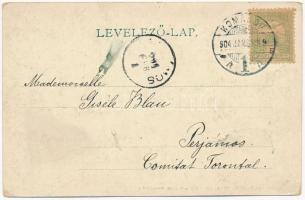 1904 Komárom, Komárnó; Vágtorkolat, tutajosok. Schönwald Tivadar kiadása / Váh river mouth, rafters....