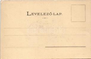 Bálványosfürdő, Baile Balvanyos (Torja, Turia); Bálványos vár. Divald fénynyomdai műintézetéből / ca...