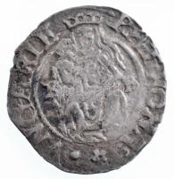 1579K-B Denár Ag "Rudolf" (0,50g) T:2- patina
Hungary 1579K-B Denar Ag "Rudolf"...