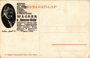 Budapest V. Andrássy szobor az Országház előtt. Hátoldalon Wágner a "Hangszer-Király" rekl...