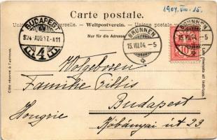 1904 Brunnen (Ingenbohl), general view, hotel (EK)