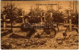 A hősök sírja Zwyczynnél / WWI Austro-Hungarian K.u.K. military cemetery in Zvyzhen (Ukraine), soldiers' graves (EK)