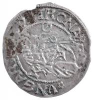 1517K-G Denár Ag "II. Lajos" (0,55g) T:2,2- patina, kis peremhiány
Hungary 1517K-G Denar ...