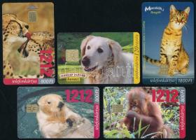 1997-2003 MATÁV állatos telefonkártya, benne 2000 példányos ritkaság is, jó állapotban