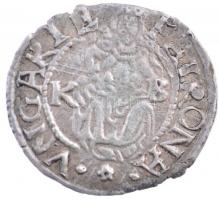 1569K-B Denár Ag "Miksa" (0,54g) T:2 patina
Hungary 1569K-B Denar Ag "Maximilian&quo...