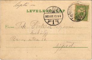 1903 Rózsahegy, Ruzomberok (Liptó); Vozárik J. 6473. (EK)