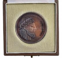 Bakos Ildikó (1948- ) ~1990. "Aesculapius / Chinoin Hungaria - Condita 1910" bronz emlékér...