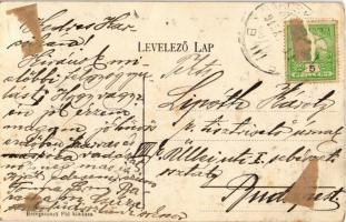 1915 Csúza, Suza (Baranya); iskola, községháza, magyar zászló "Csányi Sándor" képviselő ne...