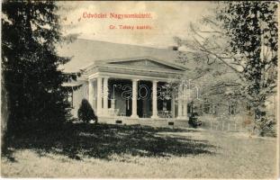 1909 Nagysomkút, Somcuta Mare; Gróf Teleky kastély / castle (Rb)