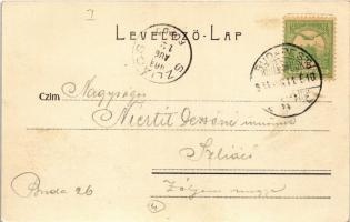 1904 Budapest I. Tabán, Rácz fürdő és templom, kávé és tejcsarnok (EK)