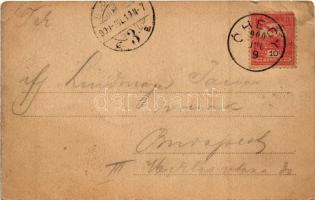 1900 Besztercebánya, Banská Bystrica; látkép. Ilona műintézet kiadása / general view (EB)