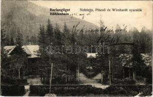 1905 Barlangliget, Höhlenhain, Tatranská Kotlina (Magas-Tátra, Vysoké Tatry); Nefelejts, Pihenő és Wirnhardt nyaralók. Britz Berta felvételi tulajdona / villas (EB)