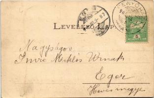 1905 Fenyőháza, Lubochna; látkép, nyaralók / general view, villas (r)