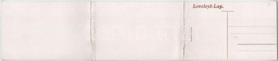 Temesvár, Timisoara; Józsefvárosi és Erzsébetvárosi látkép madártávlatból. Kihajtható 3-részes panor...