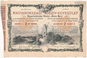 Budapest 1888. "Magyarországi Jószív-Egyesület" sorsjegykölcsön 2Ft-ról, szárazpecséttel T:III