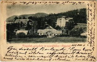 1902 Stájerlak, Steierlak, Stájerlakanina, Steierdorf, Anina; Magaslati gyógyhely és nyaralótelep. Hollschütz kiadása / spa, holiday resort (EB)