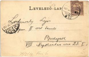 1901 Arad, Megyeháza. Kerpel Izsó kiadása / county hall. Art Nouveau, floral (EK)