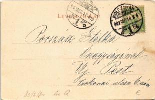 1902 Kolozsvár, Cluj; Erzsébet királyné (Sissi) szobor. Rigó Árpád kiadása / Empress Elisabeth of Au...