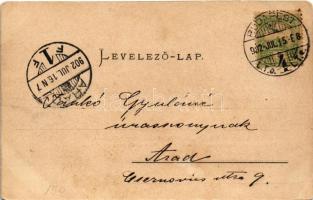 1902 Budapest I. Krisztinaváros és Tabán (a Gellérthegyről nézve). Ganz Antal 32. (EK)