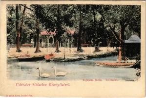 Miskolctapolca, Görömbölytapolca, Görömbölyi-Tapolca, Tapolca (Miskolc); Tó részlet. Lövy József Fia kiadása (r)