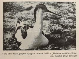 Vadász zsebnaptár 1946-47. szerk Méray László. Kiadói félvászon kötésben