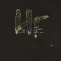 Retró kerámia tálka, jelzett, hibátlan, d:17cm