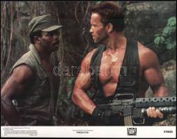 1987 ,,Predator" című, amerikai filmről 8 db produkciós filmfotó (nyomdai ofszet eljárással kés...