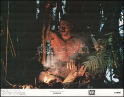 1987 ,,Predator" című, amerikai filmről 8 db produkciós filmfotó (nyomdai ofszet eljárással kés...