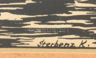 Sterbenz Károly (1901-1993): Sopron. Fametszet, papír, jelzett a metszeten. Üvegezett fakeretben, 15...