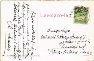 1909 Dunaföldvár, Stefánia kert és hajóállomás. W.L. (?) 722. Schwendtner Ferenc kiadása (EK)