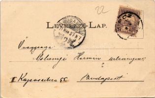 1901 Zirc, Zirci apátság, Dr. Tóth Endre villa, Dr. Kemény Pál lakháza. Mandausz János kiadása (EB)