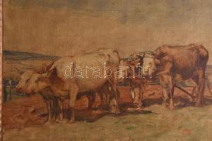 Kúnffy jelzéssel: Ökrök. Olaj, vászon. Dekoratív, kissé sérült fakeretben. 65×81,5 cm