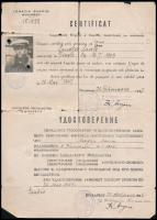 1945 bukaresti svéd konzulátus magyar származású zsidó számára kiállított két nyelvű fényképes igazolványa. Sérült, szakadt