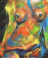 Nagy Imola (1976-): Női akt. Akril, vászon, keret nélkül, jelzett, 50x60cm