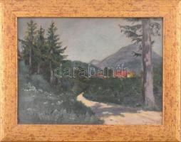 Daffinger Hanna (1883-?), 1909-ben a nagybányai szabadiskolában tanult: Hegyvidéki táj. Olaj, karton. Jelzett. Dekoratív fakeretben. 25x33,5 cm.