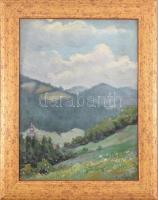 Daffinger Hanna (1883-?), 1909-ben a nagybányai szabadiskolában tanult: Hegyvidéki táj. Olaj, karton. Jelzett. Dekoratív fakeretben. 33x25 cm.