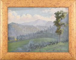 Daffinger Hanna (1883-?), 1909-ben a nagybányai szabadiskolában tanult: Hegyvidék. Olaj, karton. Jelzett. Dekoratív fakeretben. 24,5x33 cm.