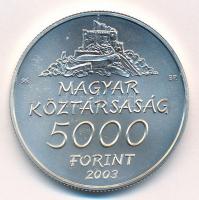 2003. 5000Ft Ag "Hollókő" kapszulában, tanúsítvánnyal, az MNB színes tájékoztatójával T:BU...